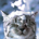 alex_koshkin