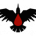 NovaM3