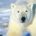 PolarBear